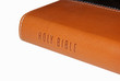 Leather Bible