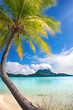 bora bora paradise