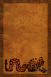 American Indian national patterns