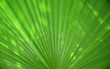 Feuille 2