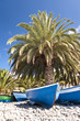 madeira