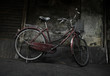 Velo