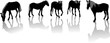chevaux silhouettes