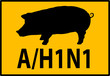 A7H1N1 schweinegrippe A7H1N1 schweinegrippe