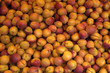 étal d’abricots au marché