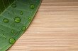 Green leaf with rain droplets on the bamboo background