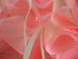 rubans roses