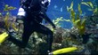 diving shark