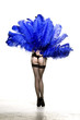 Burlesque Dancer