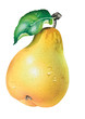 Birne