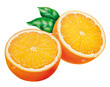 halbe Orangen