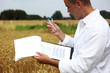Foto: Wissenschaftler im Kornfeld Wissenschaftler im Kornfeld