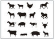 Tiere der Landwirtschaft