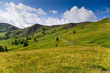 alpages dans le val d'allos alpages dans le val d'allos
