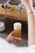 frisches bier
