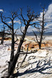 Foto: Mammoth Hot Spring in Yellowstone ©2009 GecoPhotography Mammoth Hot Spring in Yellowstone ©2009 GecoPhotography