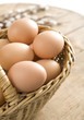 Fresh eggs in the basket  background.