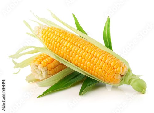 Photo: fresh corn vegetable with green leaves fresh corn vegetable with green leaves