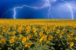 Thunderstorm on the horizon