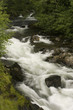 Flowing river