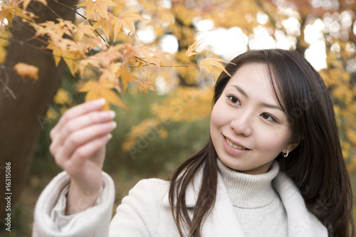 Foto: 紅葉を触る女性 紅葉を触る女性