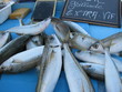 peche de provence