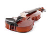 Violin on White