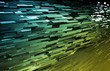 Data Network