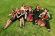 Foto: Six violinists sit semicircle on grass and play Six violinists sit semicircle on grass and play