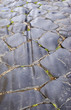 Roman Paving Stones