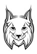 Lynx as a mascot