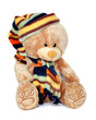 Teddy bear
