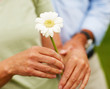 Closeup of a flower held by a mature couple