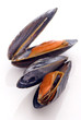 Miesmuscheln