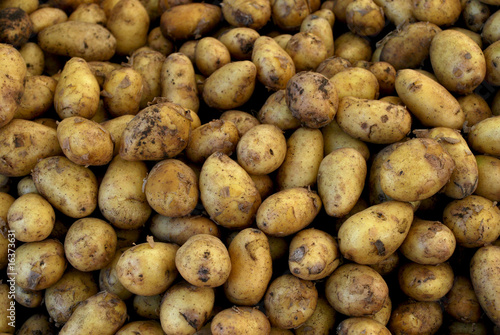Foto: Pellkartoffeln Pellkartoffeln
