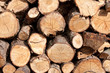 Wood Pile