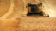 Video: Wheat Harvest Wheat Harvest
