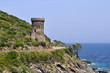 tour génoise,corse