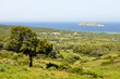 Barcaggio,corse