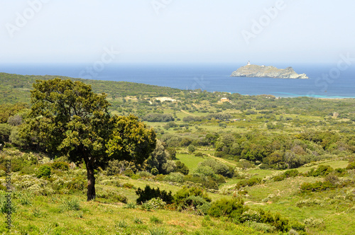 Barcaggio,corse