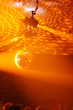 disco disco