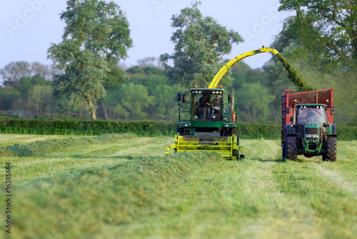 Tractors Cutting Silage