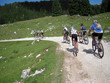 mtbike