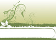 floral background vector
