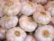 Knoblauch