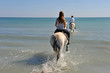 ballade équine paradisiaque ballade équine paradisiaque