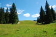 Paysage du haut Jura. Paysage du haut Jura.
