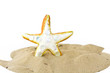 Foto: Starfish on the sand Starfish on the sand