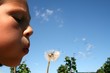 Kind und Pusteblume