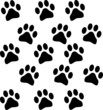paw prints paw prints